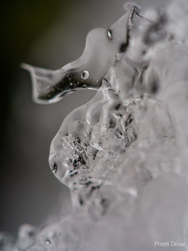 Macro Ice 5